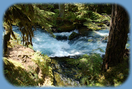 travel oregon: hiking the waterfalls loop trail along the wild and scenic mckenzie river: sahalie Waterfalls viewed when hiking the McKenzie River Trail from sahalie waterfall to koosah waterfalls. the McKenzie, one the many wild and scenic rivers in oregon. travel oregon on the west cascades national scenic byway in oregon and see koosah waterfall on the wild and scenic mckenzie river, sahalie waterfall on the wild and scenic mckenzie river, find hiking trails: the mckenzie river national hiking trails, the mckenzie river national recreation trail, the waterfall loop hiking trails, see the blue pool, blue hole, hardened lava flows, the clackamas river, the mt hood national forest, hot springs, bagby hot springs, terwilliger hot springs, cougar reservoir, cougar hot springs, the south mckenzie river, roaring river, cougar dam, the wild and scenic north fork of the middle fork of the willamette river, travel the mckenzie pass santiam pass oregon scenic byway in the willamette national forest, and find lava flows. the cascade mountains, volcanoes, geology, hiking trails to mountain lakes in the mt jefferson wilderness, the three 3 sisters wilderness, the mt washington wilderness, hiking trails to waterfalls on the mckenzie pass santiam pass oregon scenic byway, old growth forests, connect with the over the river and through the woods scenic byway, hwy 20, and find hiking trails in the menagerie wilderness, the middle santiam wilderness, the south santiam river, the cascade mountains, the cascades, hiking trails in the menagerie wilderness of the willamette national forest, hiking trails in the old cascades in oregon, hiking trails located in old growth forests and amidst fields of wildflowers in the willamette national forest of oregon. hiking trails in old growth forests are included in the following: the santiam old wagon road, pyramid hiking trail, rooster rock hiking trail, iron mountain hiking trail, tombstone pass hiking trail, chimney peak hiking trail, gate creek hiking trail, cone peak hiking trail, huckleman old growth hiking trail, house rock hiking trail. camping at paradise campground with lovely old growth trees, at clear lake campground, at fernview campground, house rock campground, lost prairie campground; trout creek campground.