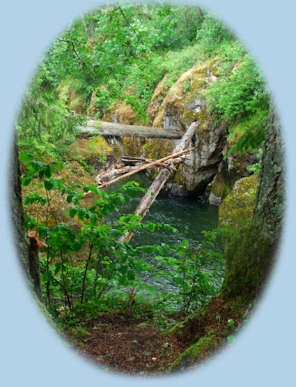 travel oregon, sightseeing, hiking in old growth forests, in fields of wildflowers, photographing, sightseeing on the scenic byways of oregon, in our national forests: the willamette national forest. travel the cascade mountains of oregon. travel alongside wild and scenic rivers in oregon.