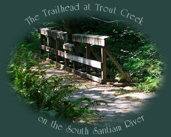 the trailhead at trout creek on the south santiam river on the over the river and through the woods scenic byway.