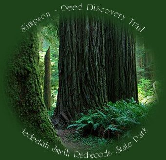 simpson-reed discovery trail at jedediah smith redwoods state park.