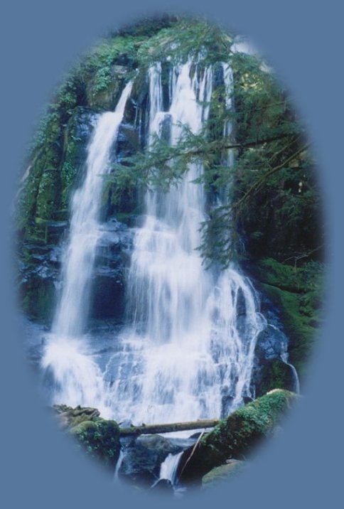 the left waterfall at kentucky waterfalls on the smith river in the coast range of oregon, not far from florence, on the oregon coast.