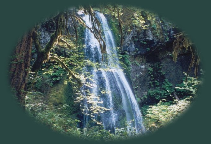 the upper waterfall at kentucky falls on the smith river in the coast range of oregon, not far from florence, on the oregon coast.