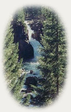 travel california and see the upper waterfalls on mccloud river in the shasta trinity national forest near mccloud, california; see also mccloud middle waterfalls, mccloud lower falls at fowler campground where you can hike from the mccloud river lower waterfalls to the mccloud river upper falls: see also castle lake, mt shasta, shasta city, california, dunsmuir, california, mccloud, california, mccloud river, sacramento river, upper mccloud river waterfalls, middle mccloud river waterfalls, lower mccloud river waterfalls, hiking trails along the mccloud river, along the sacramento river, on mt shasta, hiking trails to hedge creek waterfalls in dunsmuir, california, hiking trails along the sacramento river to mossbrae waterfalls in dunsmuir, california, castle crags state park, hiking trails in castle crags wilderness area, camping in castle crags state park, camping on the mccloud river at fowler creek campground, hiking trails to mountain lakes, hiking trails around castle lake.