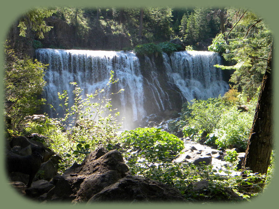 
travel to northern california and see the middle waterfalls on mccloud river in the shasta trinity national forest near mccloud, california; see also mccloud upper waterfalls, mccloud lower falls at fowler campground where you can hike from the mccloud river lower waterfalls to the mccloud river upper falls: see also castle lake, mt shasta, shasta city, california, dunsmuir, california, mccloud, california, mccloud river, sacramento river, upper mccloud river waterfalls, middle mccloud river waterfalls, lower mccloud river waterfalls, hiking trails along the mccloud river, along the sacramento river, on mt shasta, hiking trails to hedge creek waterfalls in dunsmuir, california, hiking trails along the sacramento river to mossbrae waterfalls in dunsmuir, california, castle crags state park, hiking trails in castle crags wilderness area, camping in castle crags state park, camping on the mccloud river at fowler creek campground, hiking trails to mountain lakes, hiking trails around castle lake.