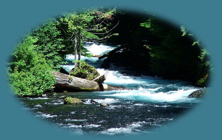 the mckenzie river national recreation trail, hiking trails: the river trail 28 miles, the waterfall tour hiking trail, the clear lake loop trail.