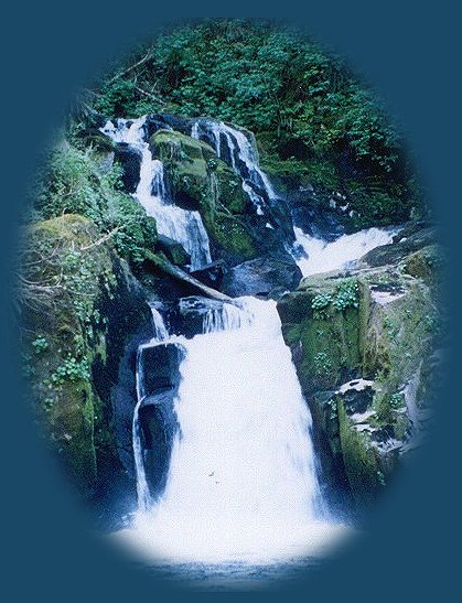 waterfalls on the siuslaw national forest in the coast range of oregon.