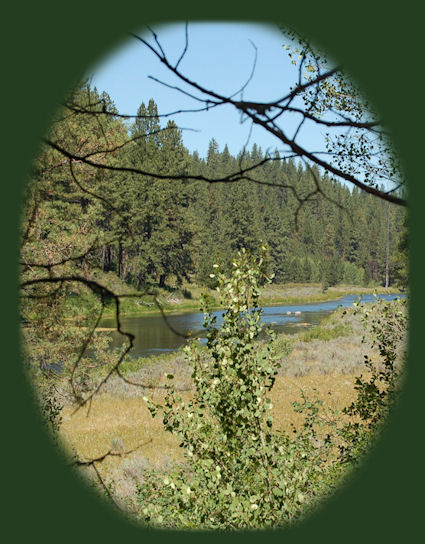 
the river photographed from the elfin tree house at gathering light ... a retreat located in southern oregon near crater lake national park: cabins, treehouses in the forest on the river.