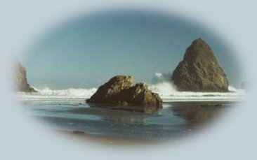 Sightseeing on the oregon coast, traveling along the Pacific Coast Scenic Byway: cape arago, cape sebastian, thomas creek bridge, brookings, florence, reedsport, gold beach, sunset bay, natural bridge, bandon, samuel j boardman state park, hiking trails, siltcoos lake and more.