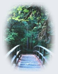 Bridge at Wolf Creek on the Umpqua Wild and Scenic River - See various Tours and Maps in the Travel Directory.