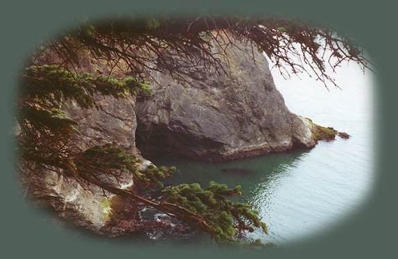 the natural bridge in the pacific ocean at samuel j boardman state park on the oregon coast.