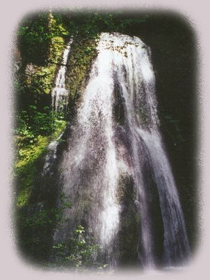 enjoy hiking trails to waterfalls in the wild and scenic umpqua river watershed in the umpqua national forest: brice creek waterfalls, moon waterfalls, pinard waterfalls, spirit falls; hiking trails off the Rogue Umpqua Scenic byway on the wild and scenic umpqua river in the umpqua national forest: toketee waterfalls, watson falls hiking trails, fall creek falls, susan creek day use area, susan creek hiking trails, susan creek campgrounds off the rogue umpqua scenic byway, toketee campgrounds off the rogue umpqua scenic byway, lemolo campgrounds off the rogue umpqua scenic byway, diamond lake campgrounds, boulder creek campgrounds, canyon creek campgrounds, umpqua national forest campgrounds, clearwater falls campgroud, island campgrounds, lake in the woods campgrounds, bogus creek campgrounds, devil's campground on cow creek, cedar creek campground on brice creek, rujada campground on layng creek, apple creek campgrounds, whitehorse falls campground, susan creek waterfalls, north umpqua river, south umpqua river, umpqua river hiking trails accessed off the rogue umpqua scenic byway, forest service campgrounds, blm campgrounds, travel oregon through the cascade mountains, cavitt creek recreation area, deadline falls, steelhead in the umpqua river, angling, hiking trails to lemolo waterfalls, clearwater waterfalls, whitehorse waterfalls, clearwater river, toketee lake, umpqua hot springs, steamboat creek waterfalls, warm springs waterfalls, lemolo lake; hiking trails on the little river in the umpqua river watershed in the umpqua national forest: deer creek waterfalls, grotto falls, hemlock waterfalls, hemlock lake, cavitt creek waterfalls, recreation area, shadow waterfalls, yakso waterfalls; hiking trails on the south umpqua river watershed: south umpqua waterfalls, campbell waterfalls, hiking trails in theboulder creek wilderness area, hiking trails in the mt thielsen rogue umpqua divide wilderness area, cathedral waterfalls off the south umpqua river; hiking trails in the row river watershed: moon, spirit and pinard waterfalls.