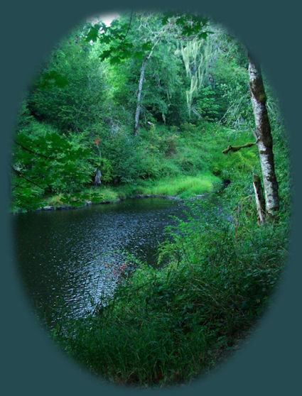 traveling south on the oregon coast to jedediah smith redwoods state park and the simpson-reed discovery trail in the california redwoods.