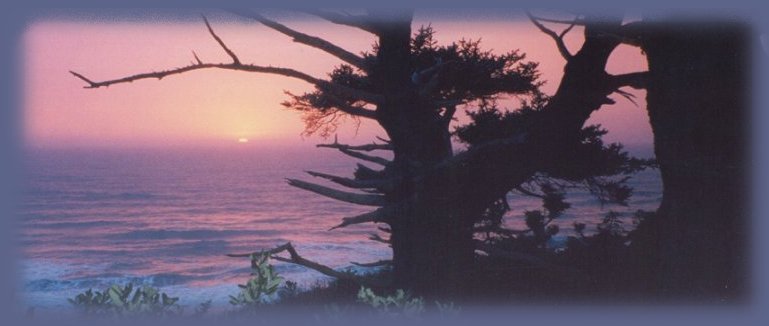 the pacific ocean at sunset on the oregon coast.