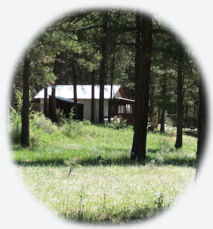 cabins in the forest at gathering light ... a retreat in southern oregon near crater lake national park: cabins, treehouses in the forest on the river.