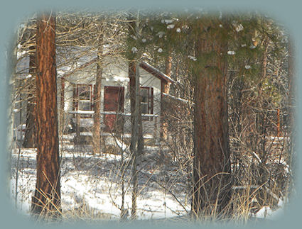 walking at wood river wetlands, one of the many klamath basin birding trails near crater lake national park and gathering light ... a retreat in southern oregon: cabins in the forest on the river near crater lake national park.