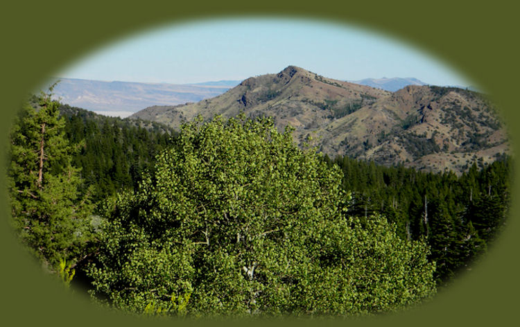 
barrel springs surprise valley back country byway in northeastern california and western nevada, shadowed by the glory of the south warners, mountains, and the south warner wilderness in the modoc national forest of california
.