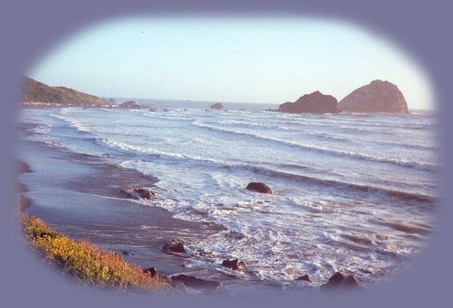 the california coast south of crescent city.