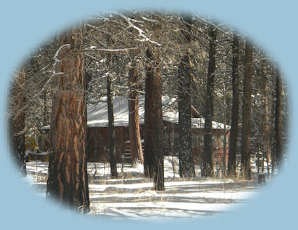 stay in the cabins in the forest at Gathering Light retreat in southern oregon near crater lake national park; experience volcanoes, hiking trails, birding trails, oregon geology, fremont winema national forest, national wildlife refuges and wetlands in klamath basin in the pacific flyway of oregon: eagle ridge birding trail, a klamath county park on shoalwater bay in klamath lake, nestled in the cascade mountains on the western edg of doak mountain.