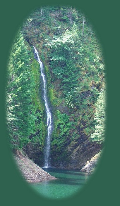 waterfall in the overflow from cougar reservoir at the entrance to terwilliger, cougar, hot springs, mckenzie river in the cascade mountains of oregon. travel oregon on the west cascades national scenic byway. hiking oregon and the waterfalls loop trails on the wild and scenic mckenzie rivers, see koosah waterfalls on the wild and scenic mckenzie rivers, sahalie waterfalls on the wild and scenic mckenzie rivers, find hiking trails in oregon on the wild and scenic mckenzie river: the mckenzie rivers national hiking trails, the waterfall loop hiking trails, see the blue pool, blue hole, hardened lava flows, the wild and scenic clackamas river, the mt hood national forest, hot springs, bagby hot springs, terwilliger hot springs, cougar reservoir, cougar hot springs, the south mckenzie river, roaring river, cougar dam, the wild and scenic north fork of the middle willamette river, travel the mckenzie pass santiam pass oregon scenic byway in the willamette national forest, and find lava flows. the cascade mountains, volcanoes, geology, hiking trails to mountain lakes, hiking trails in the mt jefferson wilderness, the three 3 sisters wilderness, the mt washington wilderness, the big bottom wilderness, the roaring river wilderness, hiking trails to waterfalls on the mckenzie pass santiam pass oregon scenic byway, old growth forests, connect with the over the river and through the woods scenic byway, hwy 20, and find hiking trails in the menagerie wilderness, the middle santiam wilderness, the south santiam river, the cascade mountains, the cascades, hiking trails in the menagerie wilderness of the willamette national forest, hiking trails in the old cascades in oregon, hiking trails located in old growth forests and amidst fields of wildflowers in the willamette national forest of oregon. hiking trails in old growth forests are included in the following: the santiam old wagon road, pyramid hiking trail, rooster rock hiking trail, iron mountain hiking trail, tombstone pass hiking trail, chimney peak hiking trail, gate creek hiking trail, cone peak hiking trail, huckleman old growth hiking trail, house rock hiking trail, hike in the 3 three sisters wilderness on french pete creek. camping at paradise campground with lovely old growth trees, at clear lake campground, at fernview campground, house rock campground, lost prairie campground; trout creek campground.