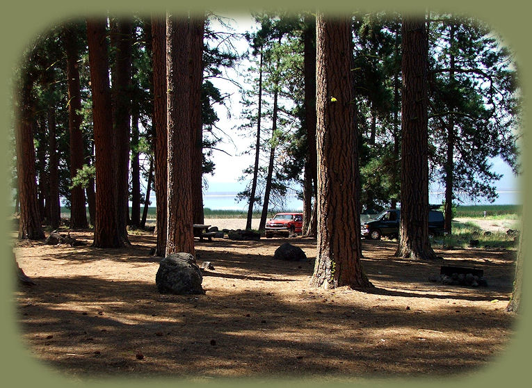 
lava flow campground at davis lake in the deschutes national forest of oregon and east davis campground at davis lake in the deschutes national forest of oregon, one of more than 100 alpine lakes accessed on the cascade lakes national scenic byway, try fly fishing
for rainbow trout, camping, hiking trails, wildlife viewing, birding, birdwatching, picnicking.