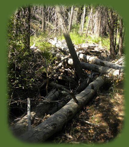 
barrel springs surprise valley back country byway in northeastern california, shadowed by the glory of the south warners, mountains, and the south warner wilderness in the modoc national forest of california
.