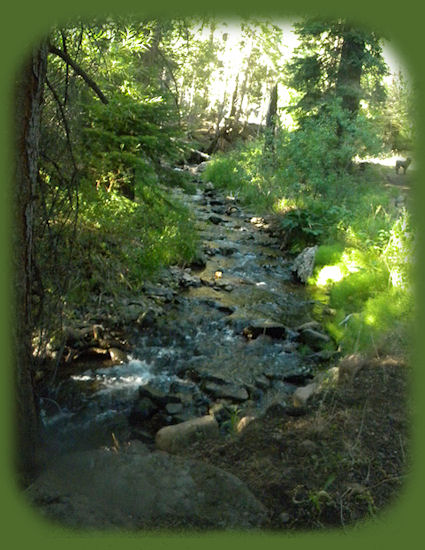 
barrel springs surprise valley back country byway in northeastern california and western nevada, shadowed by the glory of the south warners, mountains, and the south warner wilderness in the modoc national forest of california
.