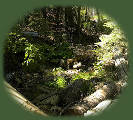 
barrel springs surprise valley back country byway in northeastern california, shadowed by the glory of the south warners, mountains, and the south warner wilderness in the modoc national forest of california
.