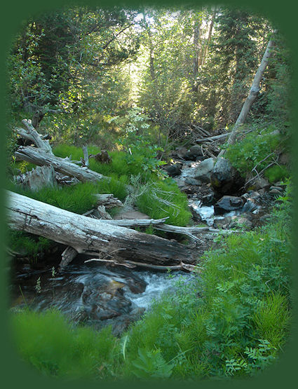 
barrel springs surprise valley back country byway in northeastern california and western nevada, shadowed by the glory of the south warners, mountains, and the south warner wilderness in the modoc national forest of california
.