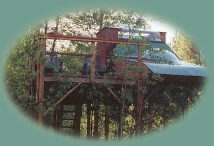 The stargazer tree house at gathering light ... a retreat located in southern oregon near crater lake national park: cabins, treehouses in the forest on the river. travel to gathering light ... a retreat in southern oregon on scenic byways, travel oregon along wild and scenic rivers, through our national forests and in the cascade mountains of oregon.