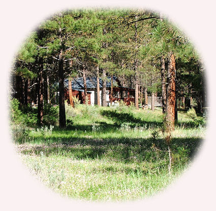 Cabins on the river at gathering light ... a retreat in southern oregon near crater lake national park: cabins, tree houses in the forest on the river.