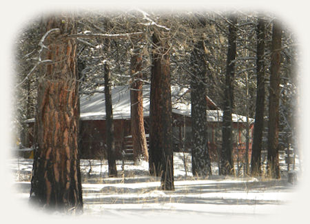 Cabins in the forest at Gathering Light ... a retreat located in southern Oregon near Crater Lake National Park.