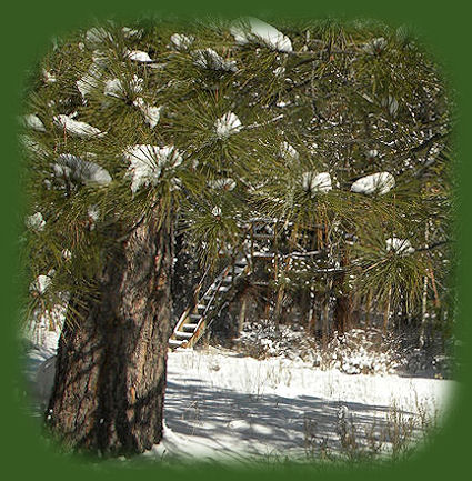 
the elfin tree house in the forest on the river at gathering light ... a retreat located in south central oregon near crater lake national park: cabins, tree houses, riverside and forest.