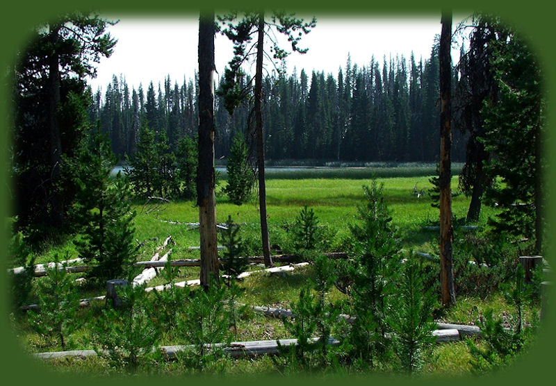 hosmer lake, mallard marsh in the deschutes national forest, one of more than 100 alpine lakes accessed on the cascade lakes national scenic byway, try fishing, sailing, swimming, camping, hiking trails, boating, picnicking.