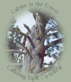 Cabins in the forest at gathering light ... a retreat located in southern oregon near crater lake national park: cabins, tree houses in the forest on the river.