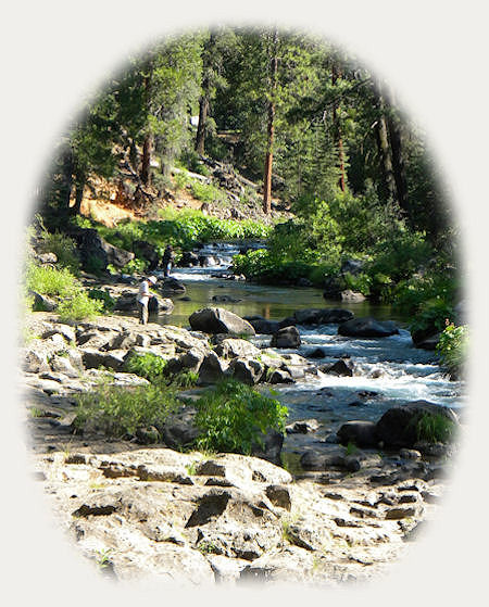 

travel to northern california and see the middle waterfalls on mccloud river in the shasta trinity national forest near mccloud, california; see also mccloud upper waterfalls, mccloud lower falls at fowler campground where you can hike from the mccloud river lower waterfalls to the mccloud river upper falls: see also castle lake, mt shasta, shasta city, california, dunsmuir, california, mccloud, california, mccloud river, sacramento river, upper mccloud river waterfalls, middle mccloud river waterfalls, lower mccloud river waterfalls, hiking trails along the mccloud river, along the sacramento river, on mt shasta, hiking trails to hedge creek waterfalls in dunsmuir, california, hiking trails along the sacramento river to mossbrae waterfalls in dunsmuir, california, castle crags state park, hiking trails in castle crags wilderness area, camping in castle crags state park, camping on the mccloud river at fowler creek campground, hiking trails to mountain lakes, hiking trails around castle lake.