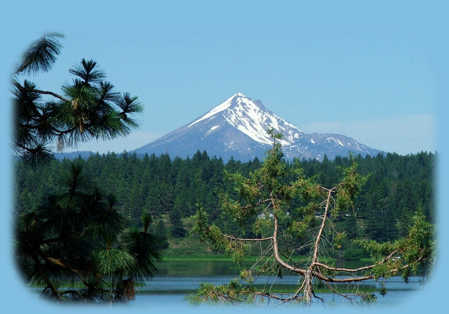 travel oregon and experience birders' paradise: klamath basin birding trails in the pacific flyway of oregon, specifically eagle ridge klamath county park at shoalway bay where you can find bald eagles, pelicans, grebes, egrets and more, not far from crater lake national park too.