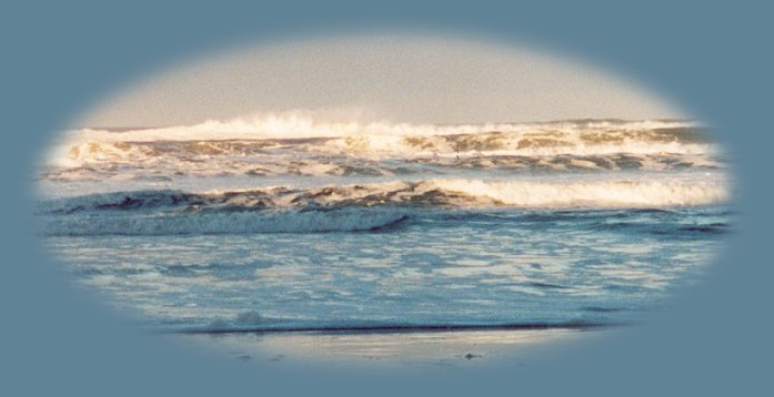 traveling on oregon hwy 101, the pacific coast scenic byway, along the pacific ocean on the oregon coast.