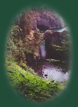 Photograph the oregon coast, the natural bridge at samuel j boardman state park near brookings, oregon.