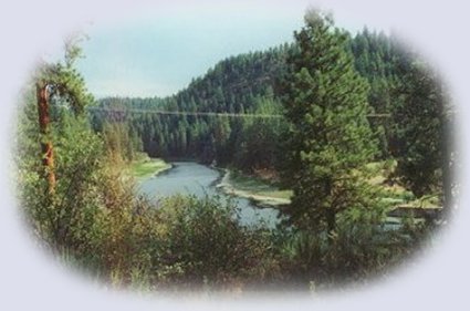 stay in the cabins at gathering light retreat located in southern oregon near crater lake national park and travel oregon and experience volcanoes, geology, hiking trails, oregon geology, rogue siskiyou national forest, wild and scenic rogue river, wild and scenic umpqua river, rogue gorge at union creek, oregon, national rogue river hiking trail, rogue national forest, national forests, wilderness areas, national wildlife refuges, wetlands, klamath basin, prospect, oregon, mill creek waterfalls on the rogue river, barr creek waterfalls on the rogue river, avenue of giant boulders on the rogue river, hiking trails to mill creek waterfalls, hiking trails to barr creek waterfalls on the rogue river, hiking trails to national creek waterfalls in the rogue siskiyou national forest, hiking trails along the rogue river, hiking trails to the natural bridge, hiking trails at crater lake national park, crater lake national park, hiking trails on the wild and scenic rogue river, hiking trails to national creek waterfalls, national wildlife refuges, wetlands, rabbit ears, the cascade mountains, the old cascade mountains, mt thielsen, hiking trails at crater lake, crater lake national park.