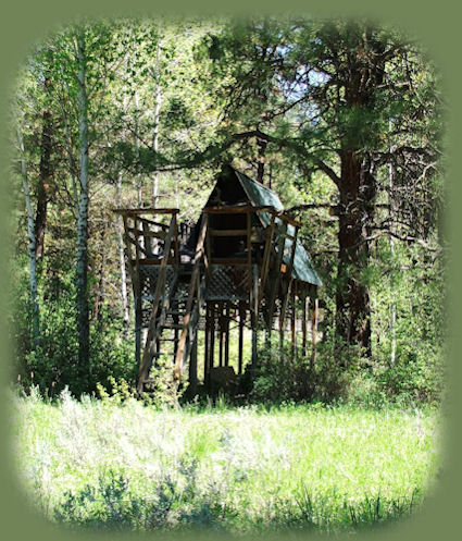 
hiking in the cascade mountains on our way to medford, oregon about 60 miles from gathering light ... a retreat in oregon: Cabins; tree houses in the forest on the river near crater lake national park in oregon.