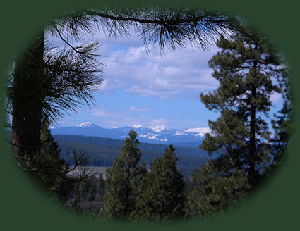 walking along the river at gathering light ... a retreat near crater lake in southern oregon: cabins, tree houses in the forest on the river.