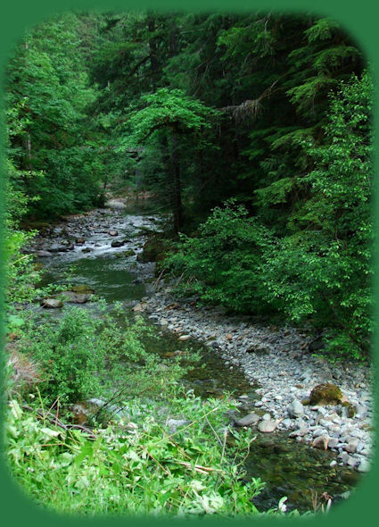 travel oregon, sightseeing, hiking, camping on Quartzville Creek, a wild and scenic river, tributary to the santiam river; accessed on the quartzville creek back country scenic byway, in the cascade mountains of oregon.