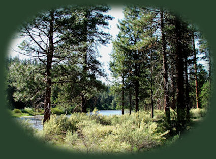 walking along the river at gathering light ... a retreat near crater lake in southern oregon: cabins, tree houses in the forest on the river.