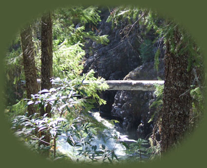 a brief diversion off the crater lake hwy at prospect oregon: see 
waterfalls, hiking trails, the avenue of giant boulders.