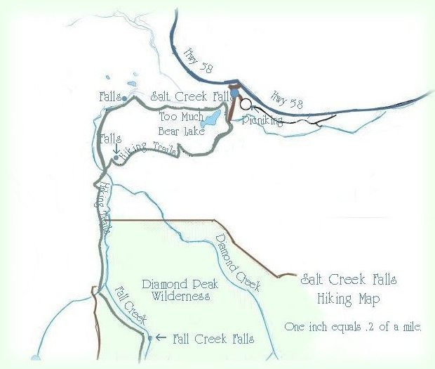 Hikes in the willamette national forest in oregon: hiking trails to waterfalls at salt creek waterfalls picnic day use area on the willamette pass in the in the diamond peak wilderness of the cascade mountains in oregon: see diamond creek waterfalls, fall creek waterfalls and mountain lakes.