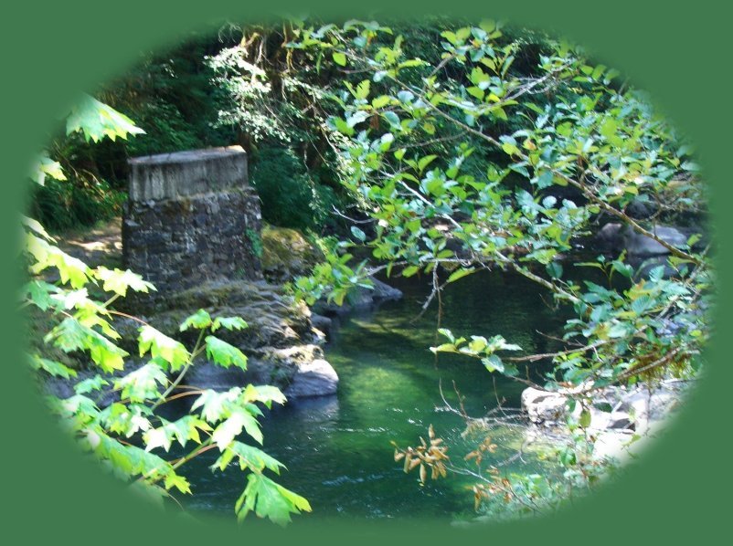 the santiam pass in the cascade mountains of oregon, the south santiam river. travel oregon on the over the river and through the words scenic byway, one of many scenic byways in oregon. travel the cascade mountains of oregon and see three fingered jack, mt washington. travel the willamette national forest on the over the river and through the woods scenic byway and find hiking trails in the middle santiam wilderness, hiking trails in the menagerie wilderness of the willamette national forest, hiking trails in the old cascades in oregon, located in old growth forests and amidst fields of wildflowers in the willamette national forest of oregon. travel oregon and hike in old growth forests and in fields of wildflowers. hiking trails in old growth forests are included in the following: the santiam old wagon road, pyramid hiking trail, rooster rock hiking trail, iron mountain hiking trail, tombstone pass hiking trail, chimney peak hiking trail, gate creek hiking trail, cone peak hiking trail, huckleman old growth hiking trail, house rock hiking trail. hiking trails to waterfalls on the south santiam river, fields of wildflowers in early summer. camping and campgrounds in old growth forests on the south santiam river on the over the river and through the woods scenic byway, one of many scenic byways in oregon, include fernview campground, house rock campground, lost prairie campground; trout creek campground.