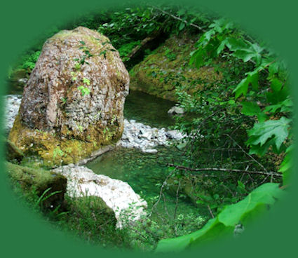 Quartz Creek, tributary to the south santiam river in oregon, accessed off the over the rivers and through the woods scenic byway.