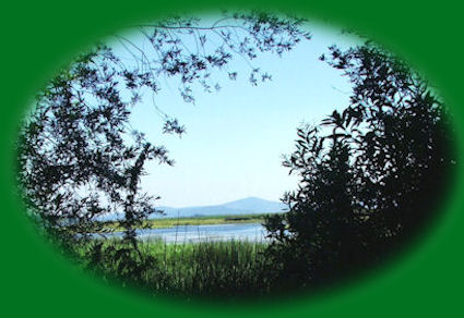 wood river wetlands, one of the many klamath basin birding trails near the retreat and crater lake national park.