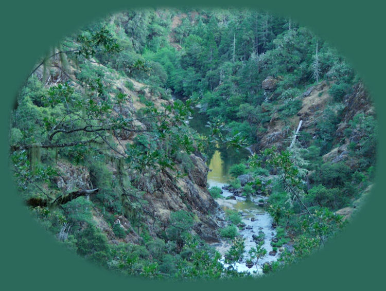 the santiam pass in the cascade mountains of oregon, the south santiam river. travel oregon on the over the river and through the words scenic byway, one of many scenic byways in oregon. travel the cascade mountains of oregon and see three fingered jack, mt washington. travel the willamette national forest on the over the river and through the woods scenic byway and find hiking trails in the middle santiam wilderness, hiking trails in the menagerie wilderness of the willamette national forest, hiking trails in the old cascades in oregon, located in old growth forests and amidst fields of wildflowers in the willamette national forest of oregon. travel oregon and hike in old growth forests and in fields of wildflowers. hiking trails in old growth forests are included in the following: the santiam old wagon road, pyramid hiking trail, rooster rock hiking trail, iron mountain hiking trail, tombstone pass hiking trail, chimney peak hiking trail, gate creek hiking trail, cone peak hiking trail, huckleman old growth hiking trail, house rock hiking trail. hiking trails to waterfalls on the south santiam river, fields of wildflowers in early summer. camping and campgrounds in old growth forests on the south santiam river on the over the river and through the woods scenic byway, one of many scenic byways in oregon, include fernview campground, house rock campground, lost prairie campground; trout creek campground.