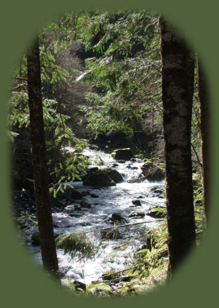 enjoy hiking trails to waterfalls in the wild and scenic umpqua river watershed in the umpqua national forest: brice creek waterfalls, moon waterfalls, pinard waterfalls, spirit falls; hiking trails off the Rogue Umpqua Scenic byway on the wild and scenic umpqua river in the umpqua national forest: toketee waterfalls, watson falls hiking trails, fall creek falls, susan creek day use area, susan creek hiking trails, susan creek campgrounds off the rogue umpqua scenic byway, toketee campgrounds off the rogue umpqua scenic byway, lemolo campgrounds off the rogue umpqua scenic byway, diamond lake campgrounds, boulder creek campgrounds, canyon creek campgrounds, umpqua national forest campgrounds, clearwater falls campgroud, island campgrounds, lake in the woods campgrounds, bogus creek campgrounds, devil's campground on cow creek, cedar creek campground on brice creek, rujada campground on layng creek, apple creek campgrounds, whitehorse falls campground, susan creek waterfalls, north umpqua river, south umpqua river, umpqua river hiking trails accessed off the rogue umpqua scenic byway, forest service campgrounds, blm campgrounds, travel oregon through the cascade mountains, cavitt creek recreation area, deadline falls, steelhead in the umpqua river, angling, hiking trails to lemolo waterfalls, clearwater waterfalls, whitehorse waterfalls, clearwater river, toketee lake, umpqua hot springs, steamboat creek waterfalls, warm springs waterfalls, lemolo lake; hiking trails on the little river in the umpqua river watershed in the umpqua national forest: deer creek waterfalls, grotto falls, hemlock waterfalls, hemlock lake, cavitt creek waterfalls, recreation area, shadow waterfalls, yakso waterfalls; hiking trails on the south umpqua river watershed: south umpqua waterfalls, campbell waterfalls, hiking trails in theboulder creek wilderness area, hiking trails in the mt thielsen rogue umpqua divide wilderness area, cathedral waterfalls off the south umpqua river; hiking trails in the row river watershed: moon, spirit and pinard waterfalls.